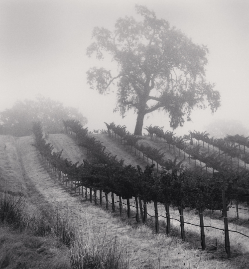 Michael Kenna photograph